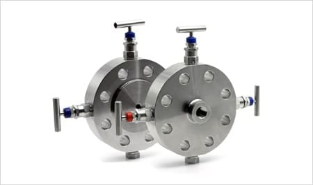 Monoflange valves Supplier